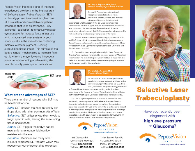 Pepose Vision Brochures - Hogan Art + Design